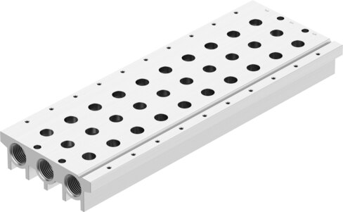 Manifold rail