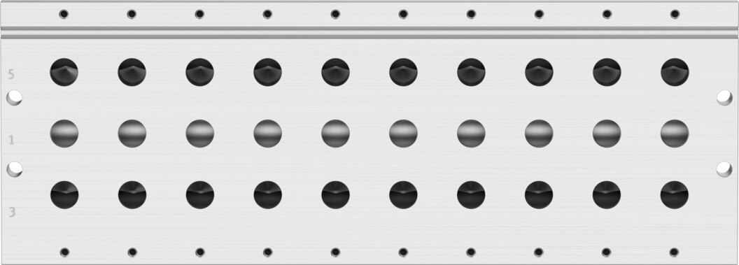 Manifold rail