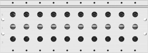 Manifold rail