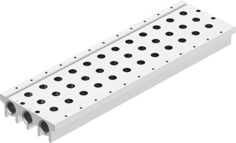 Manifold rail