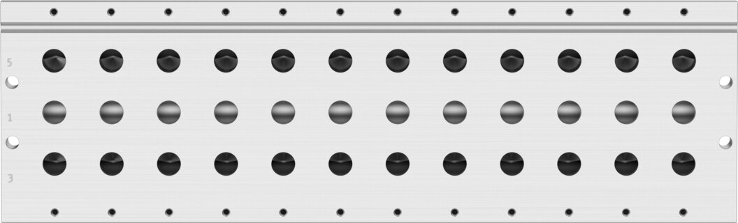 Manifold rail