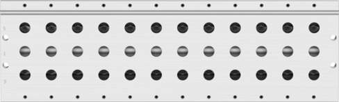 Manifold rail