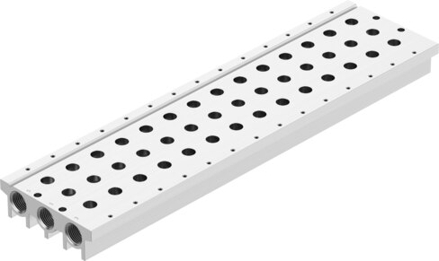 Manifold rail