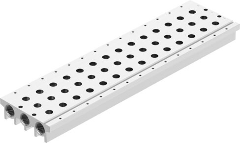Manifold rail
