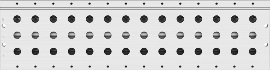 Manifold rail