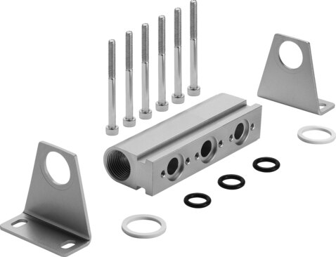Common supply manifold