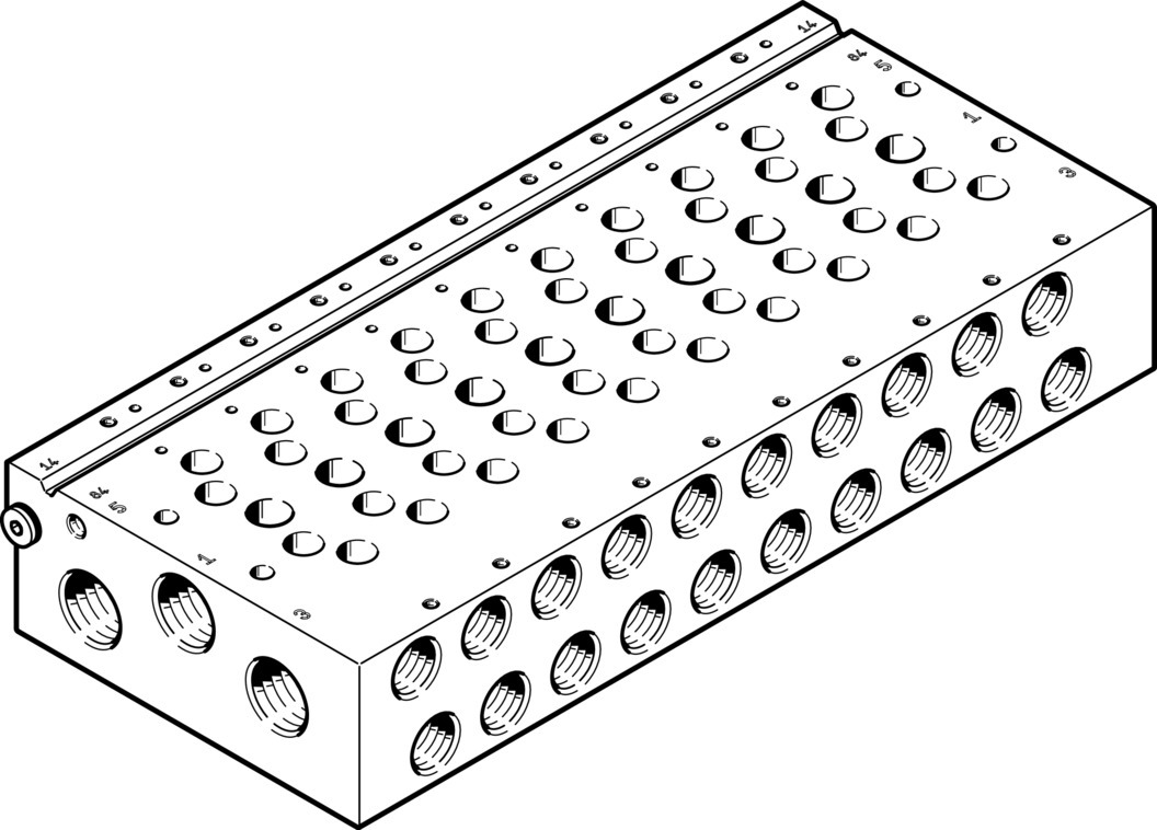 Manifold rail