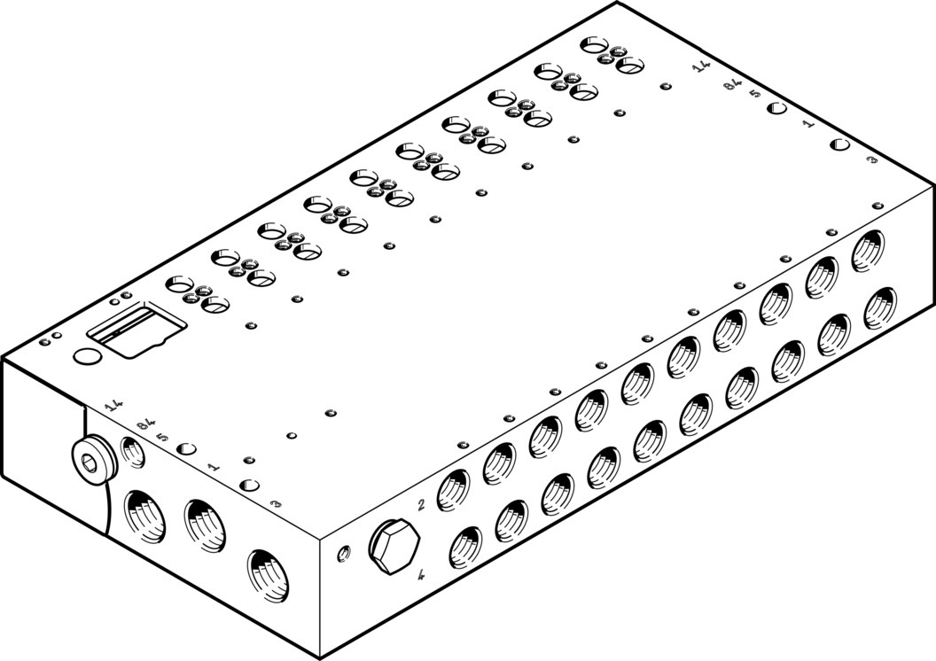 Manifold rail