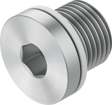 Blanking plug