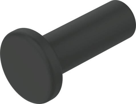 Blanking plug
