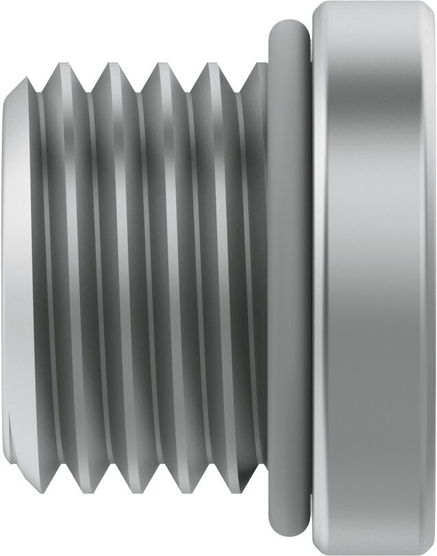 Plug screw