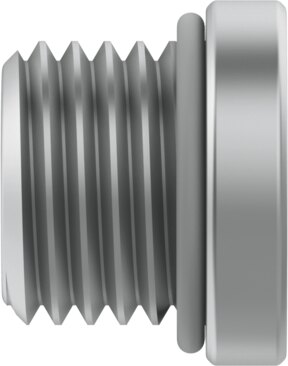 Plug screw
