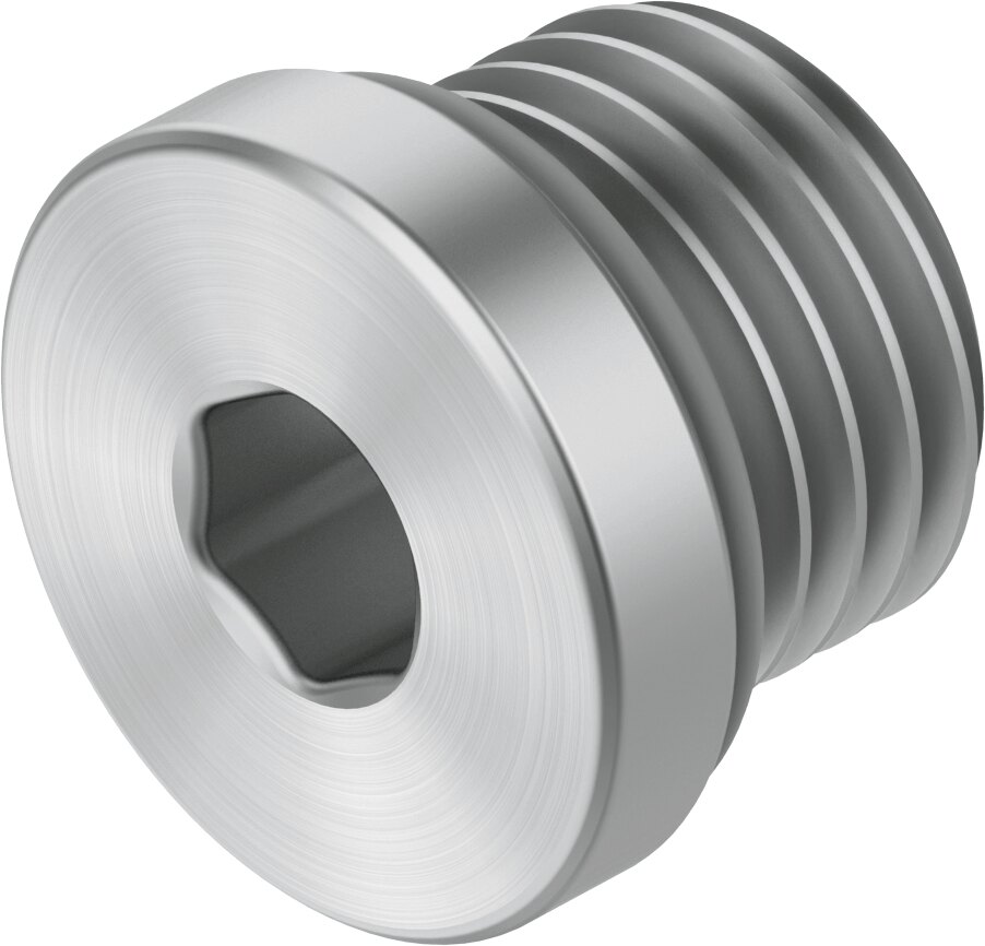 Plug screw