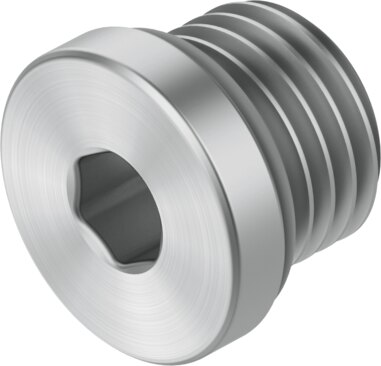 Plug screw