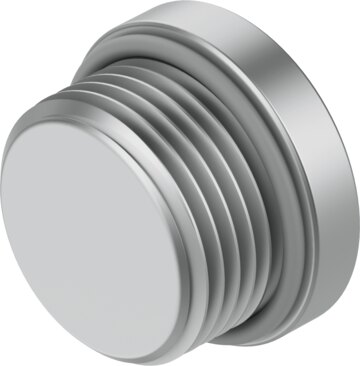 Plug screw