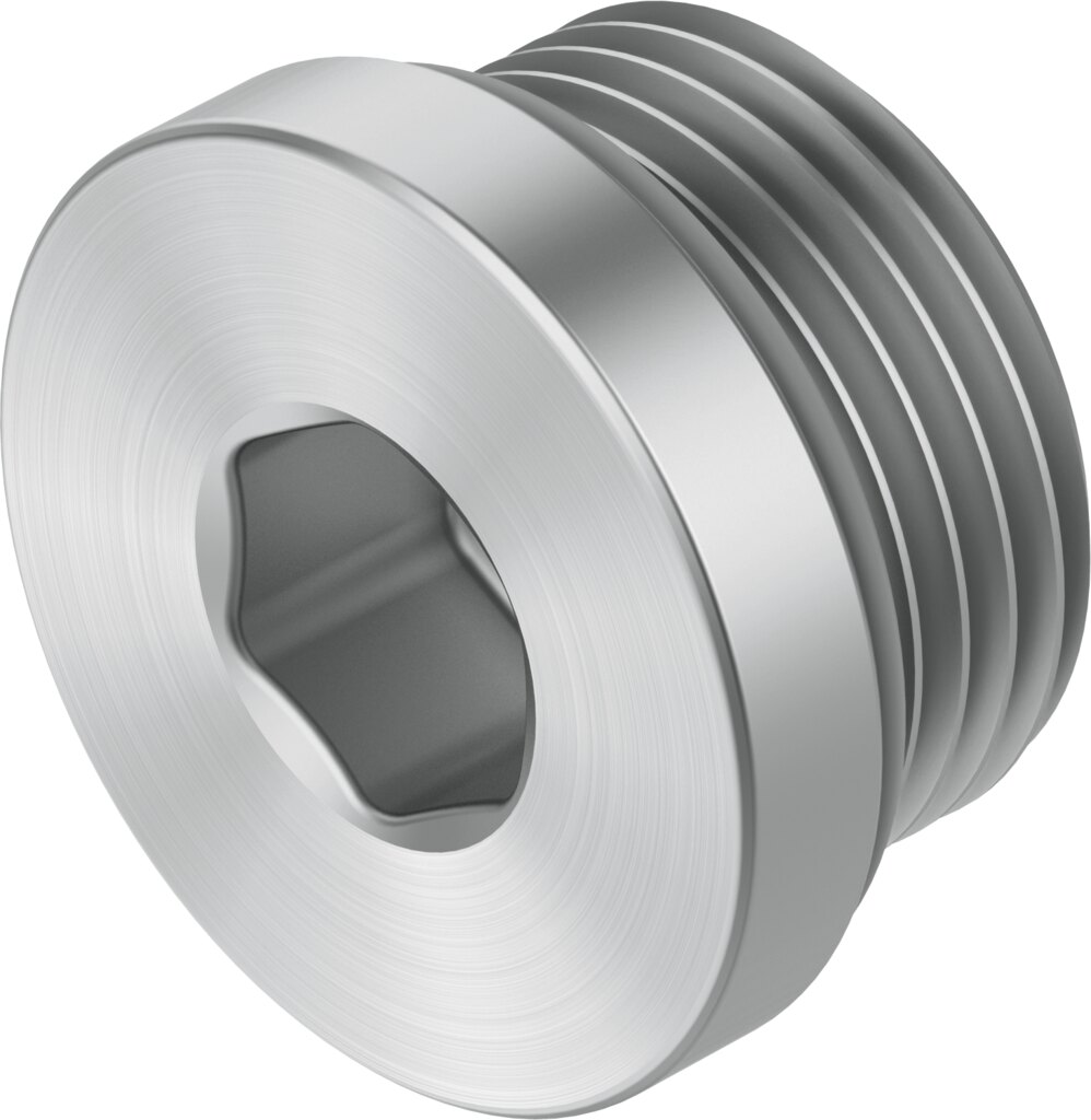 Plug screw