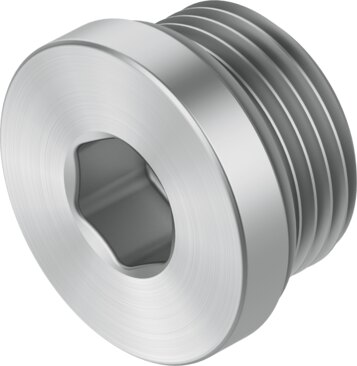 Plug screw