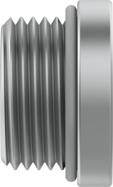 Plug screw