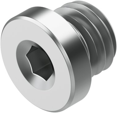Plug screw