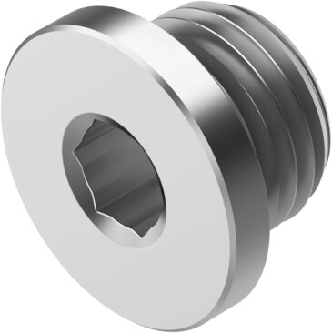 Plug screw