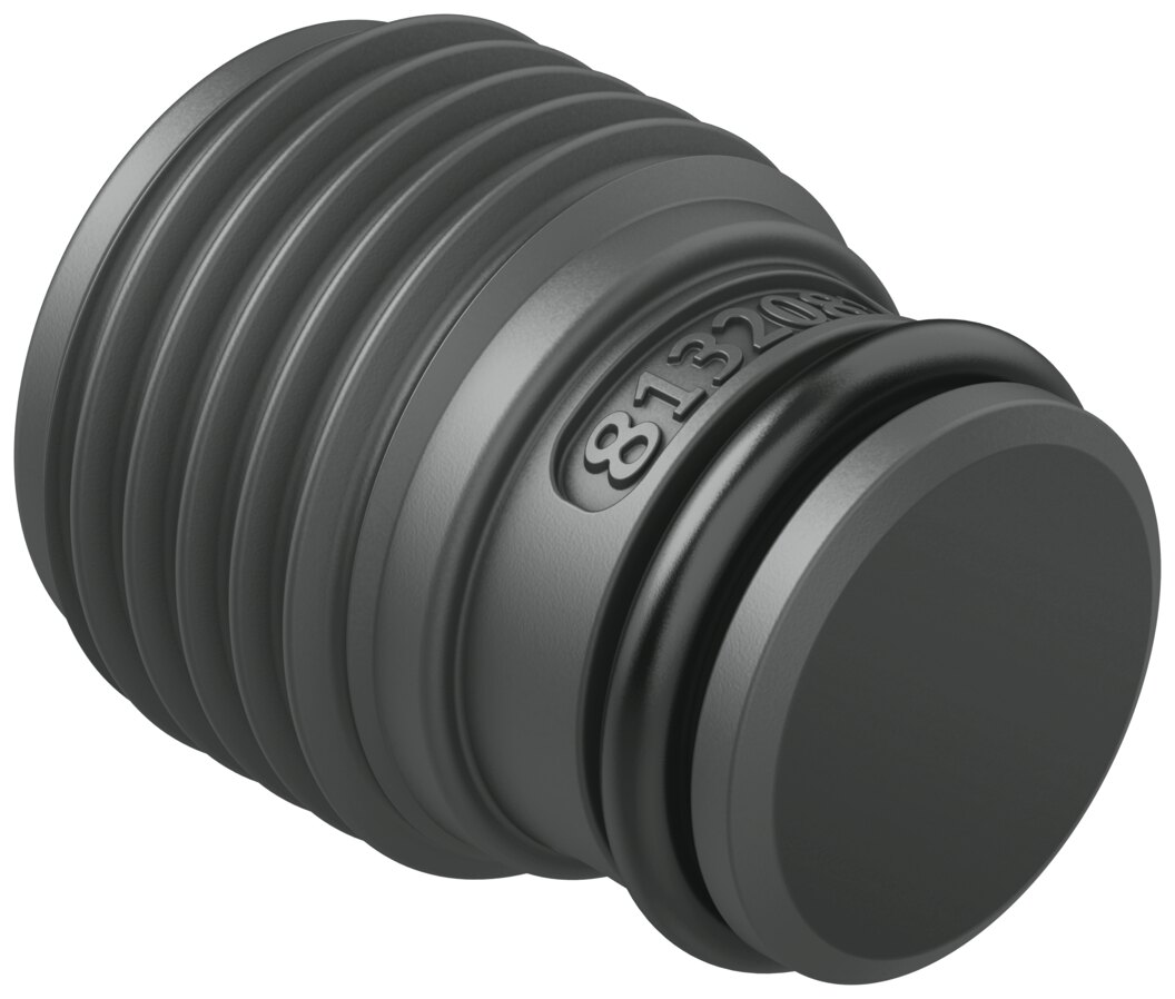Plug screw