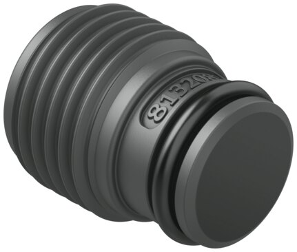 Plug screw