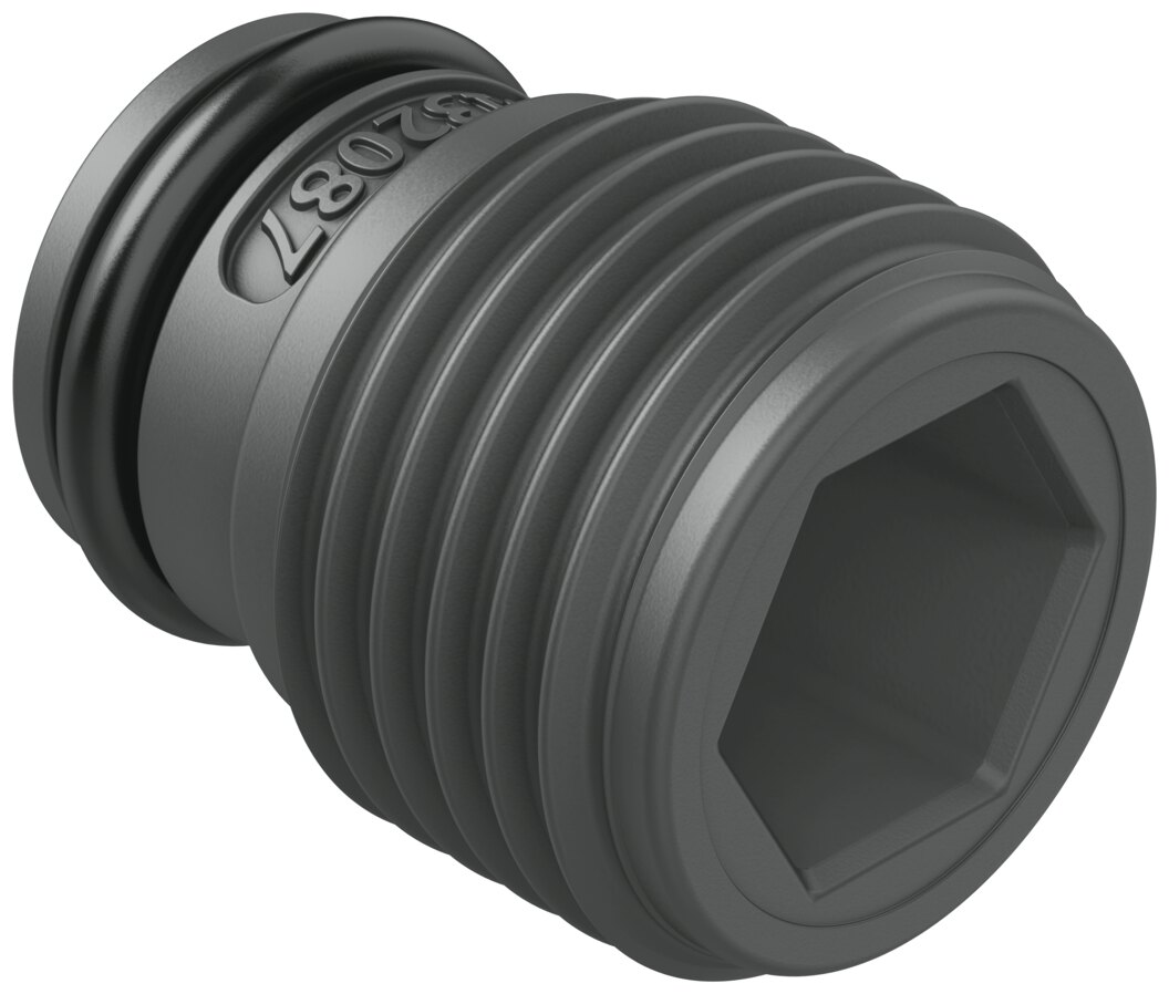 Plug screw