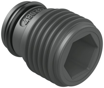 Plug screw