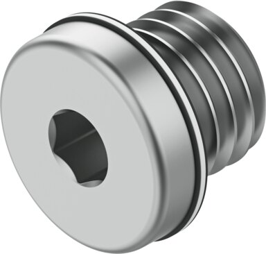 Blanking plug