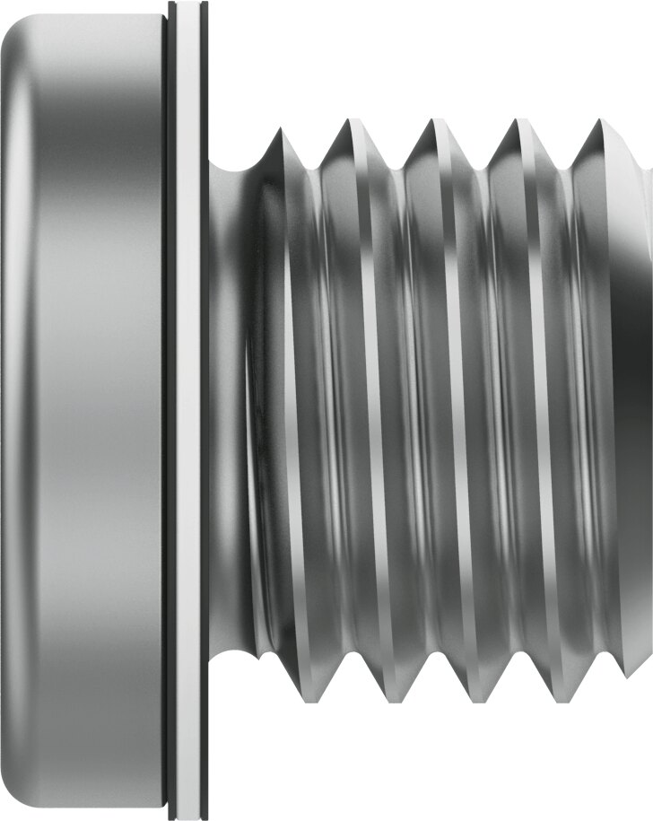 Blanking plug