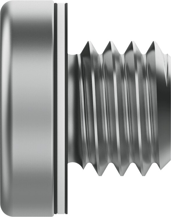 Blanking plug