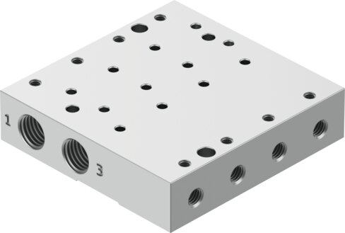 Manifold rail
