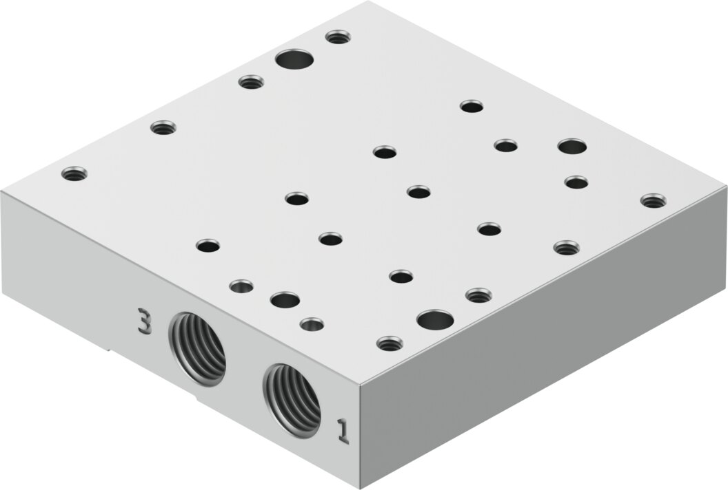 Manifold rail