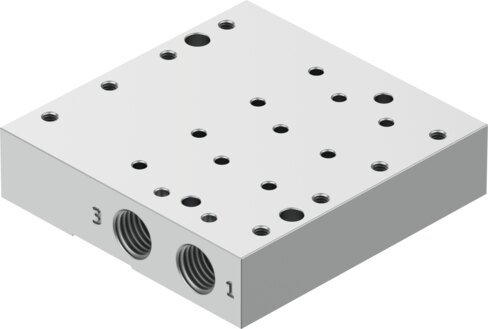 Manifold rail
