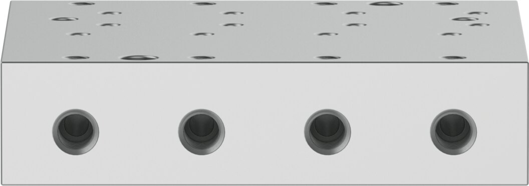 Manifold rail