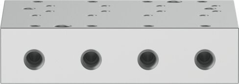 Manifold rail