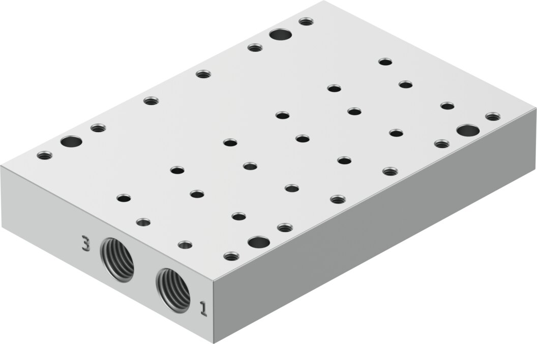 Manifold rail
