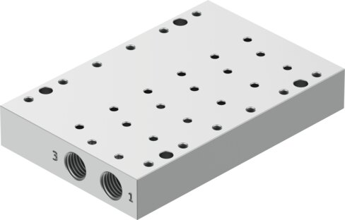 Manifold rail