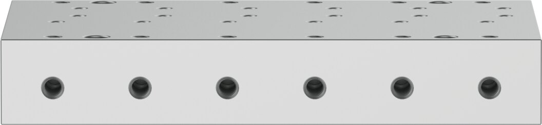Manifold rail