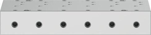 Manifold rail