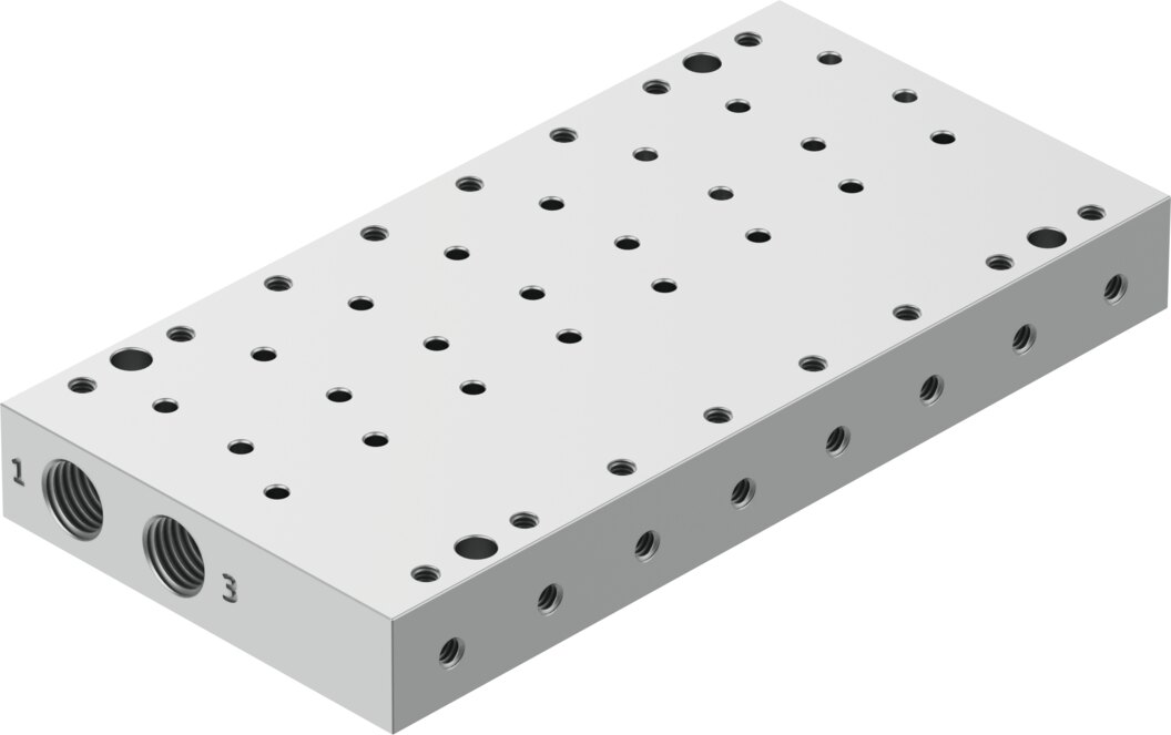 Manifold rail