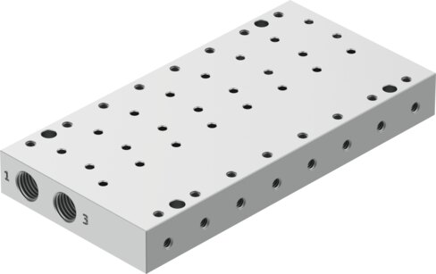 Manifold rail