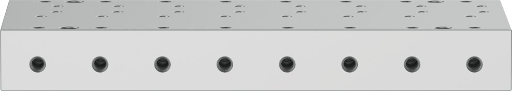 Manifold rail