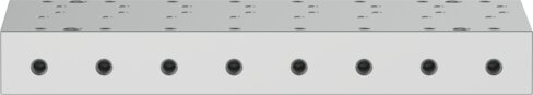 Manifold rail