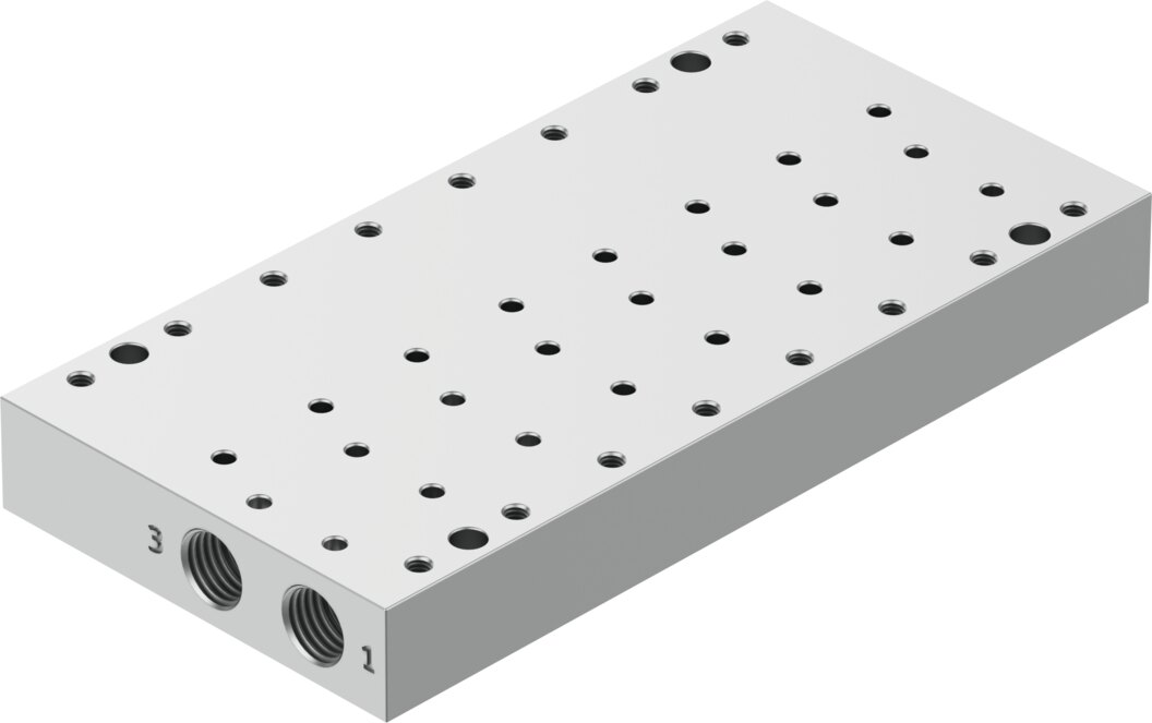 Manifold rail