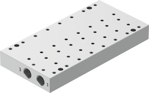 Manifold rail