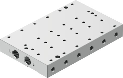 Manifold rail