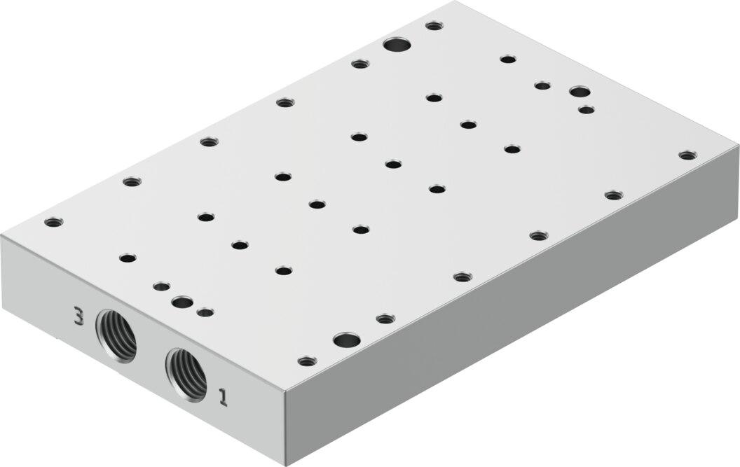 Manifold rail