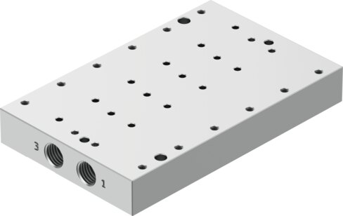 Manifold rail