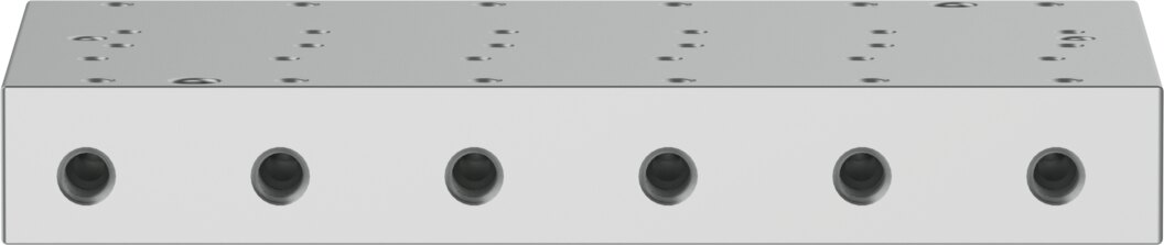 Manifold rail